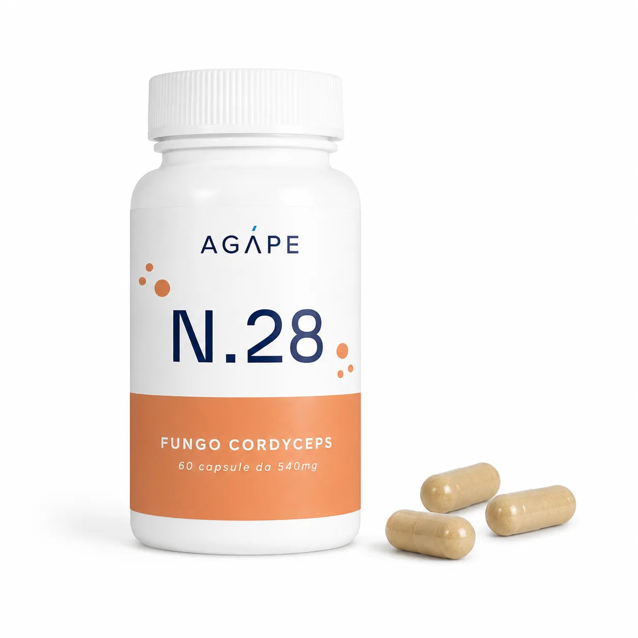 N.28 | Fungo Cordyceps |