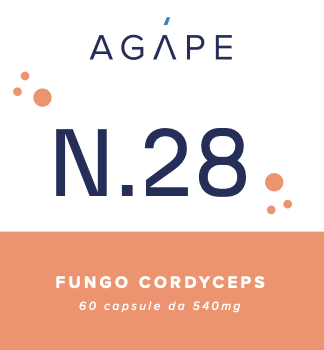 N.28 | Fungo Cordyceps |