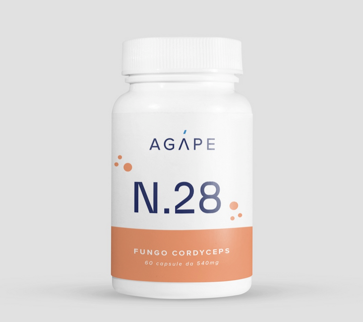 N.28 | Fungo Cordyceps |